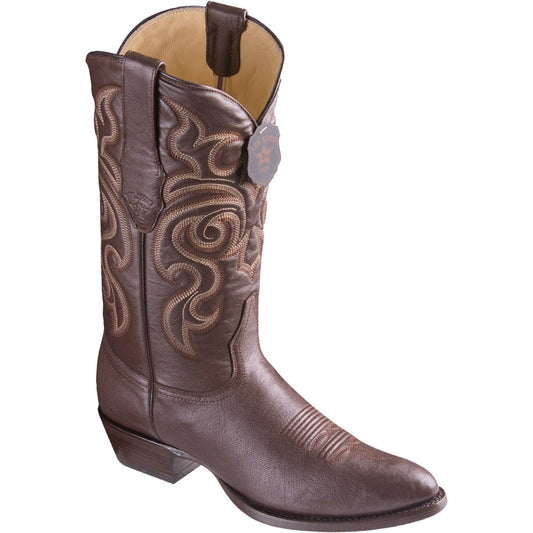 Newest Products Collection - Premium Newest Products at alligatorwarehouse.com