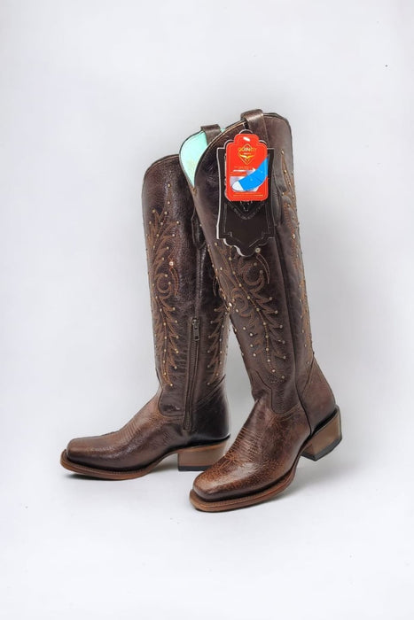 Alligatorwarehouse Collection - Premium Alligatorwarehouse at alligatorwarehouse.com