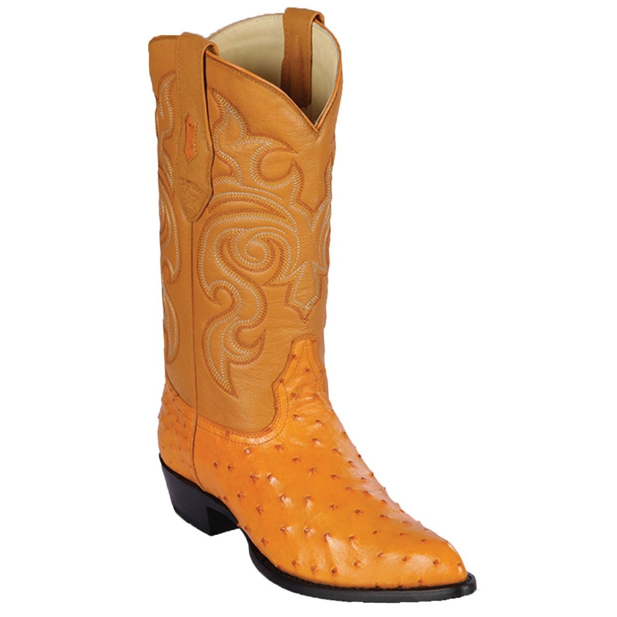 Botas de Avestruz Original Horma Puntal C 4 LAB-990306-060  - from alligatorwarehouse.com