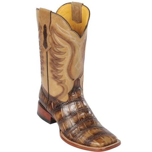 Alligatorwarehouse Collection - Premium Alligatorwarehouse at alligatorwarehouse.com