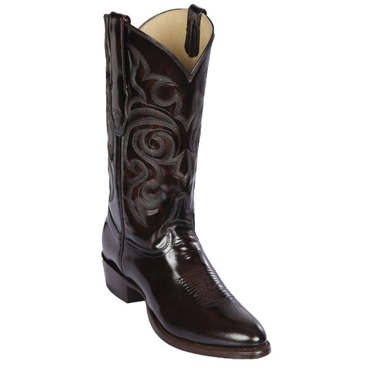 Newest Products Collection - Premium Newest Products at alligatorwarehouse.com