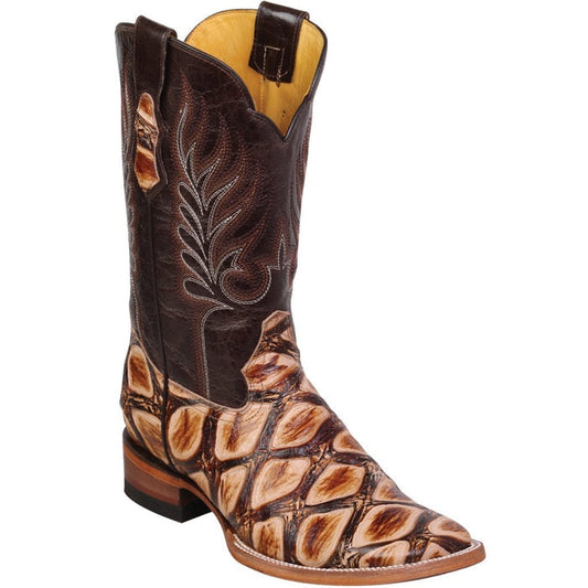 Alligatorwarehouse Collection - Premium Alligatorwarehouse at alligatorwarehouse.com