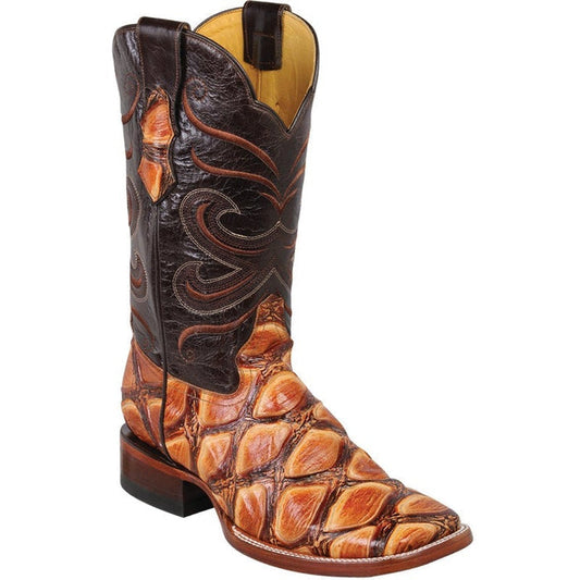 Alligatorwarehouse Collection - Premium Alligatorwarehouse at alligatorwarehouse.com