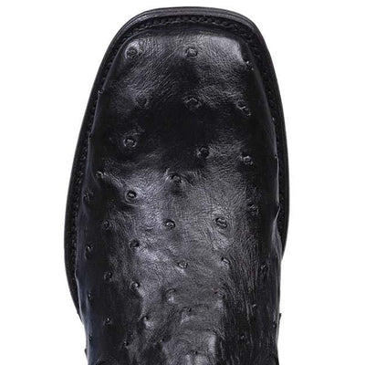 Botin Vaquero de Avestruz Original Horma Cuadrada LAB-82BV0305 5 LAB-82BV0305-060  - from alligatorwarehouse.com