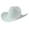 Cuernos Chuecos Texana Estilo Sinaloa 4 -1  - from alligatorwarehouse.com