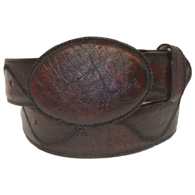 Cinto Ave Panza Zig Zag 1 LAB-C111518-32  - from alligatorwarehouse.com