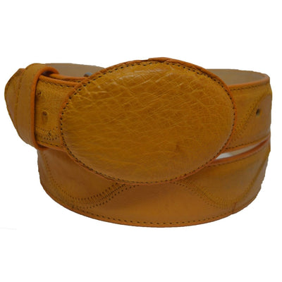 Cinto Ave Panza Zig Zag 2 LAB-C111518-32  - from alligatorwarehouse.com