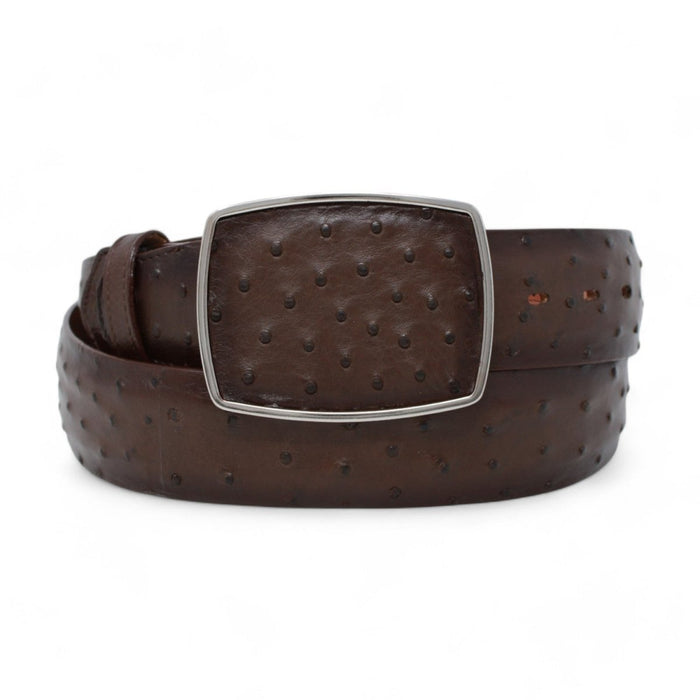 Cinto Avestruz Vaquero Difuminado CB - C11A03 - Los Altos Boots