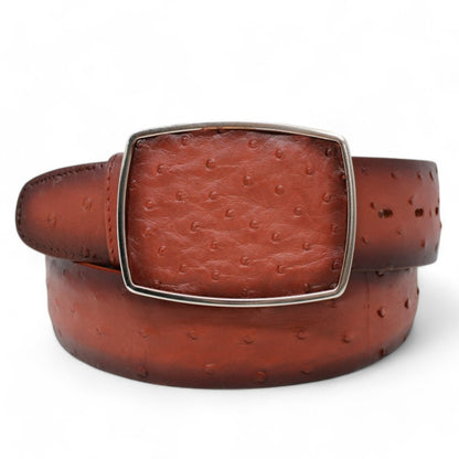 Cinto Avestruz Vaquero Difuminado CB - C11A03 - Los Altos Boots