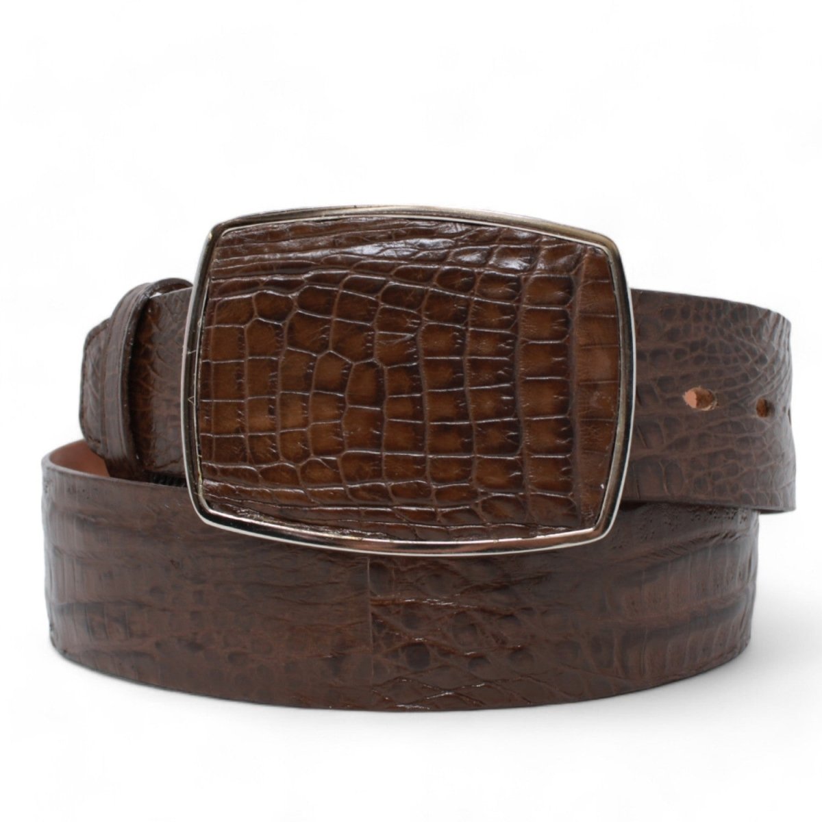 Cinto Caimán Panza Vaquero CB-C11A82 5 LAB-C11A8205-32  - from alligatorwarehouse.com