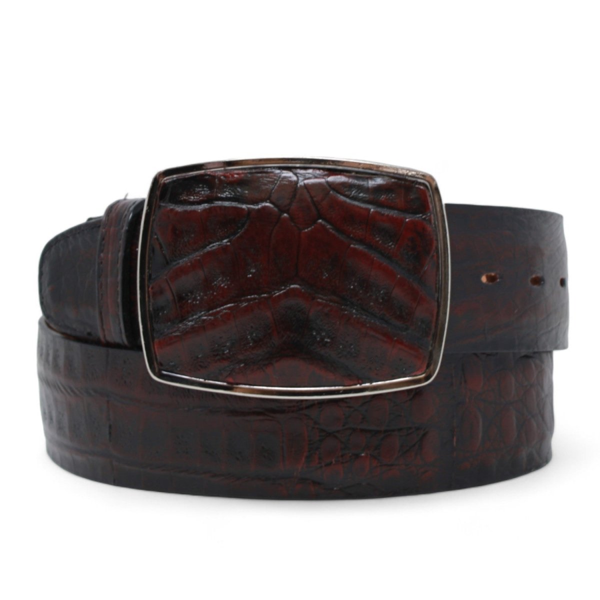 Cinto Caimán Panza Vaquero CB-C11A82 6 LAB-C11A8205-32  - from alligatorwarehouse.com