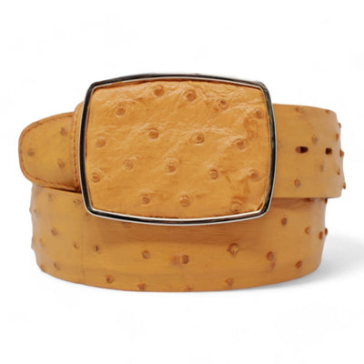 Cinto de Avestruz Original Vaquero LAB-C11A03 2 LAB-C11A0351-32  - from alligatorwarehouse.com