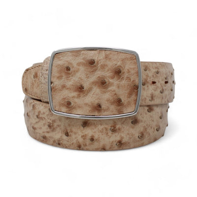 Cinto Vaquero de Avestruz Original 6 LAB-C11A0311.032  - from alligatorwarehouse.com