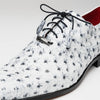 Marco Di Milano Criss Newspaper Ostrich Quill Dress Shoe Oxfords 3 CRISS_OSTRICH_NEWSPAPER_6  - from alligatorwarehouse.com