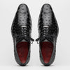 Marco Di Milano Criss Black Ostrich Quill Dress Shoe Oxfords 4 CRISS_OSTRICH_BLACK_6  - from alligatorwarehouse.com