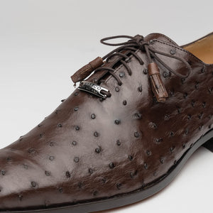 Marco Di Milano Criss Ostrich Quill Dress Oxfords Brown