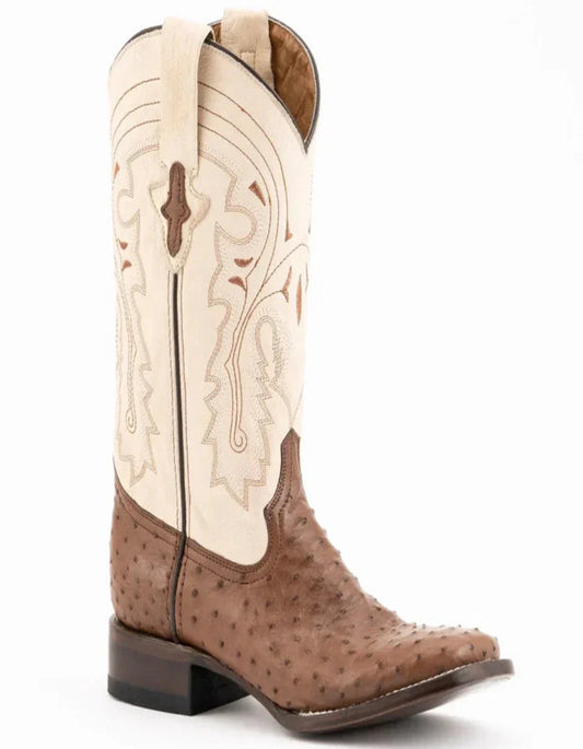 Ferrini USA Collection - Premium Ferrini USA at alligatorwarehouse.com