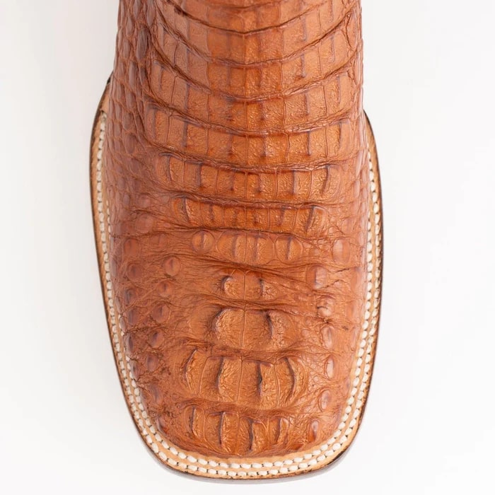 Ferrini Hornback Caiman Dakota