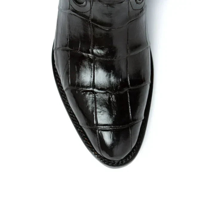 Ferrini Stallion - American Alligator