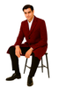 Houndstooth Overcoat - Houndstooth Topcoat - Houndstooth Checker Car Coat Red 6   - from alligatorwarehouse.com