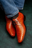 Marco Milano Exotic Caiman Shoes Cognac Gator Derby Lacio 4 LACIO_CAIMAN FUSCUS_COGNAC (BRANDY)_8.5  - from alligatorwarehouse.com