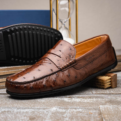 Zelli Monza Genuine Ostrich Quill Driving Loafers in Brown