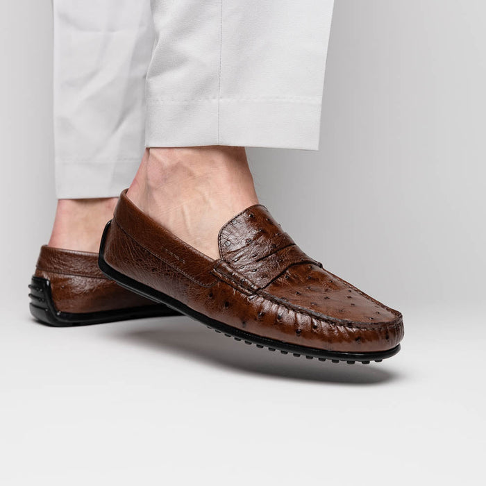 Zelli Monza Genuine Ostrich Quill Driving Loafers in Brown