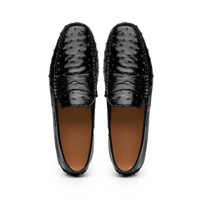 Zelli Monza Ostrich Quill Driving Loafers in Black