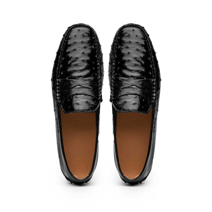 Zelli Monza Ostrich Quill Driving Loafers in Black