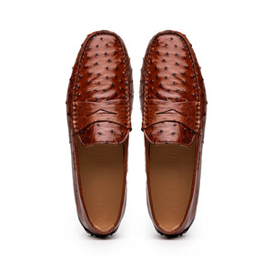 Zelli Monza Genuine Ostrich Quill Driving Loafers in Brandy