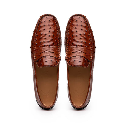Zelli Monza Genuine Ostrich Quill Driving Loafers in Brandy