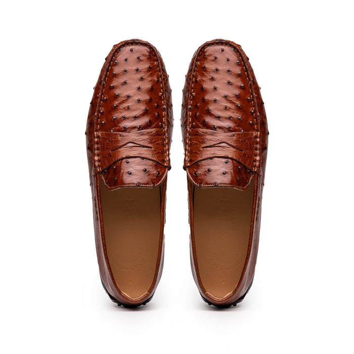 Zelli Monza Genuine Ostrich Quill Driving Loafers in Brandy