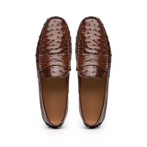 Zelli Monza Genuine Ostrich Quill Driving Loafers in Brown