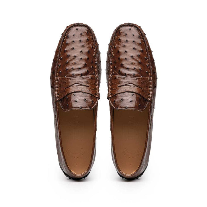 Zelli Monza Genuine Ostrich Quill Driving Loafers in Brown