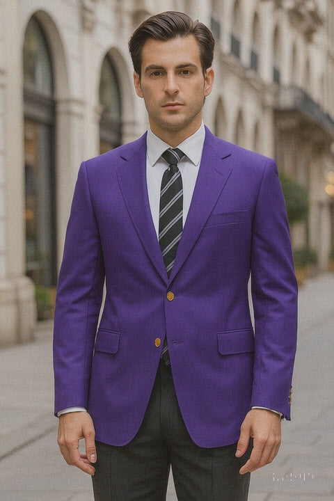 Neil Allyn Career Basics Men's Purple Blazer Jacket