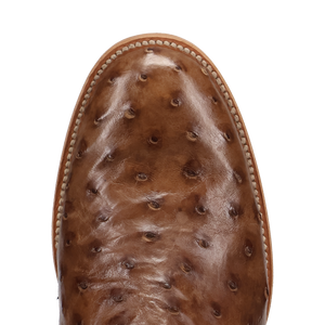 Dan Post Ardor Ostrich Boot - Full Quill Leather