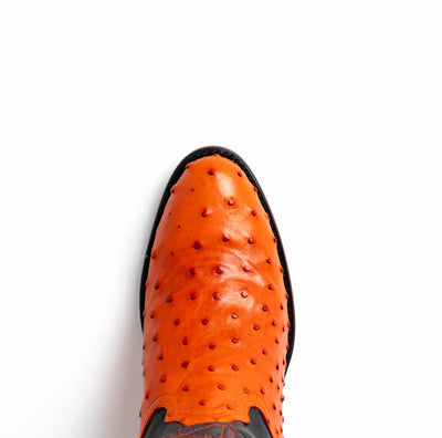 Marco Di Milano Savannah Orange Ostrich Quill Round Toe Cowboy Boots 5   - from alligatorwarehouse.com
