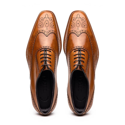 Zelli Stephano Wingtip Oxfords with Brogue Detailing in Camel