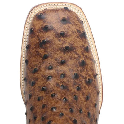 Zapato Botín Piel Avestruz - Mens Ostrich Boot in 3 Colors 8   - from alligatorwarehouse.com