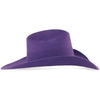 Texana Stone Sombrero Vaquero para Mujer 100X Color Morado con Plumas 3   - from alligatorwarehouse.com