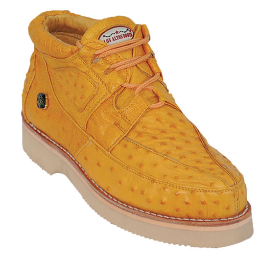 Products Collection - Premium Products at alligatorwarehouse.com