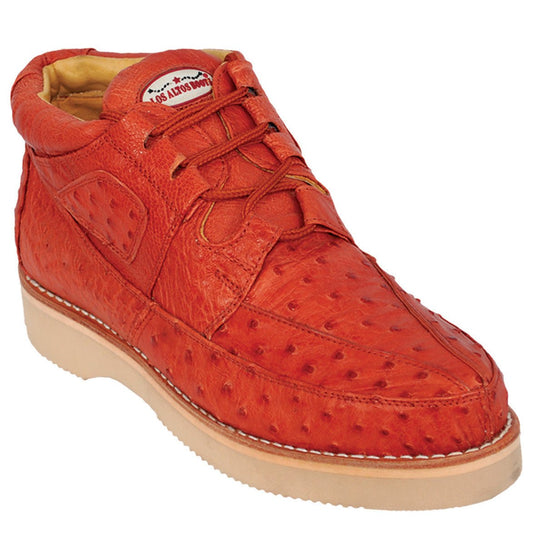 Products Collection - Premium Products at alligatorwarehouse.com
