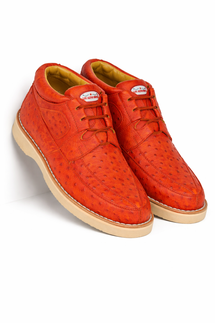 Zapato Avestruz Completo LAB-ZA0603