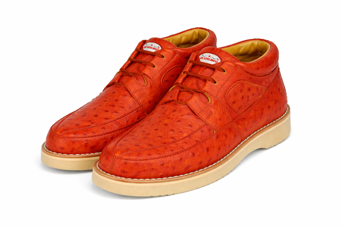 Zapato Avestruz Completo LAB-ZA0603