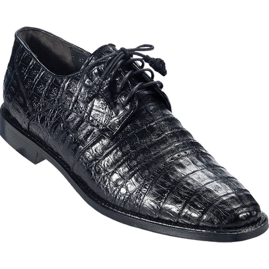 Above $300 Collection - Premium Above $300 at alligatorwarehouse.com