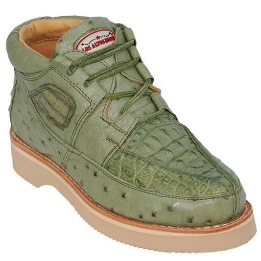 Products Collection - Premium Products at alligatorwarehouse.com