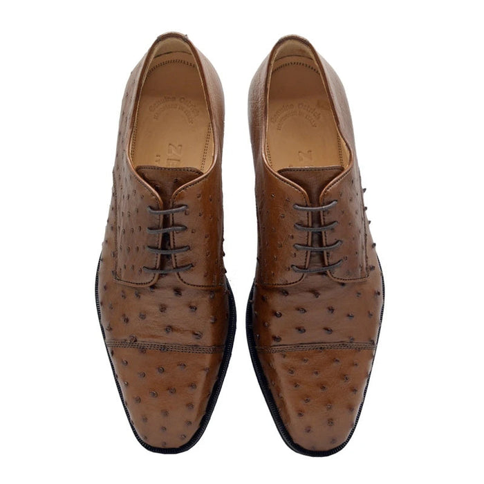 Zelli Andrea Genuine Ostrich Quill Cap Toe Derby Shoes in Brandy