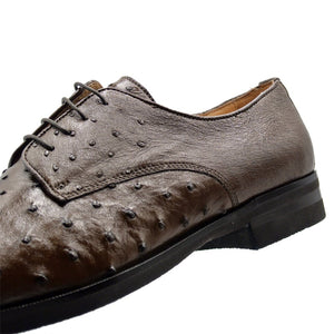 Zelli Andrea Genuine Ostrich Cap Toe Derby Dress Shoes in Brown