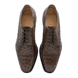 Zelli Andrea Genuine Ostrich Cap Toe Derby Dress Shoes in Brown