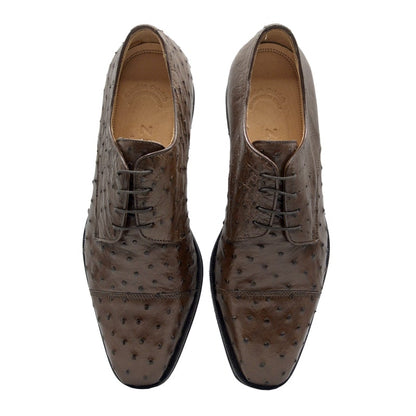 Zelli Andrea Genuine Ostrich Cap Toe Derby Dress Shoes in Brown